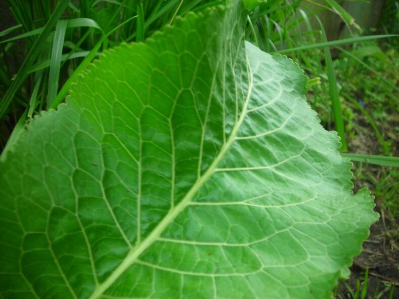 chren na cervikálnu osteochondrózu